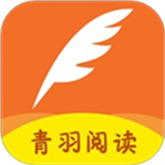 老司机“在线开车”网APP应用