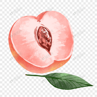 WWW,xxx98·COM网站APPAPP应用